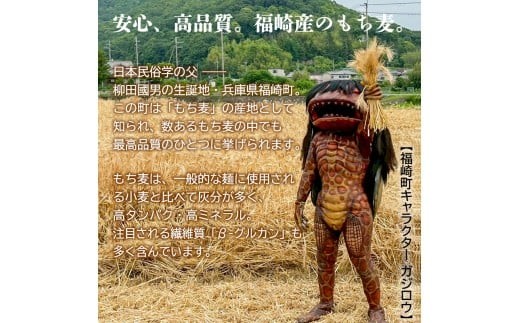 もち麦カレー 30箱入 福崎町産もち麦使用 レトルト カレー もち麦 お手軽 非常食 保存食