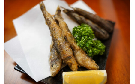 銚子のめひかり詰合せセット 丸干し 唐揚げ 目光 メヒカリ アオメエソ 白身魚 丸ごと一尾 食べやすい カルシウム 焼魚 フライ 千葉県 銚子市