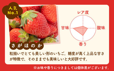 【先行予約】いちご食べ比べ！「さがほのか」と「パールホワイト」220g×各2パック 計4パック / いちご イチゴ 白イチゴ 希少いちご 佐賀 九州 [IAQ017]