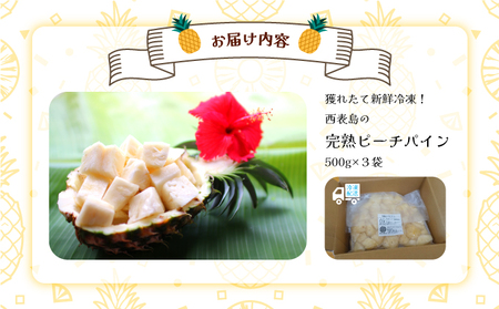 穫れたて新鮮冷凍！西表島の完熟ピーチパイン 500g×3袋