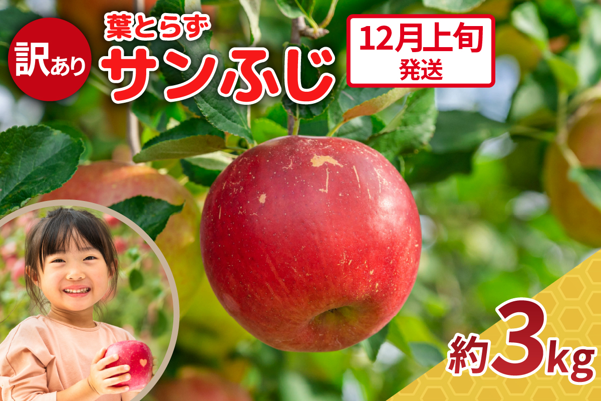 【2026年12月上旬発送】りんご 3kg 程度 葉とらず サンふじ 訳あり 青森産 りんご ふじ 【 サンふじりんご 葉とらずりんご リンゴジュースやお菓子作りにも くだものフルーツ果物林檎約3kg