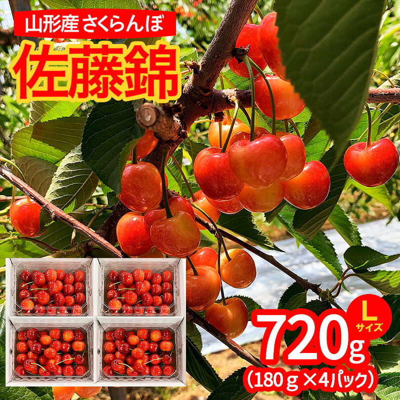 【ふるさと納税】山形市産 さくらんぼ 佐藤錦 L以上 720g(180g×4パック) 【令和9年産先行予約】 FS25-531 くだもの 果物 フルーツ 山形 山形県 山形市 お取り寄せ 2027年産