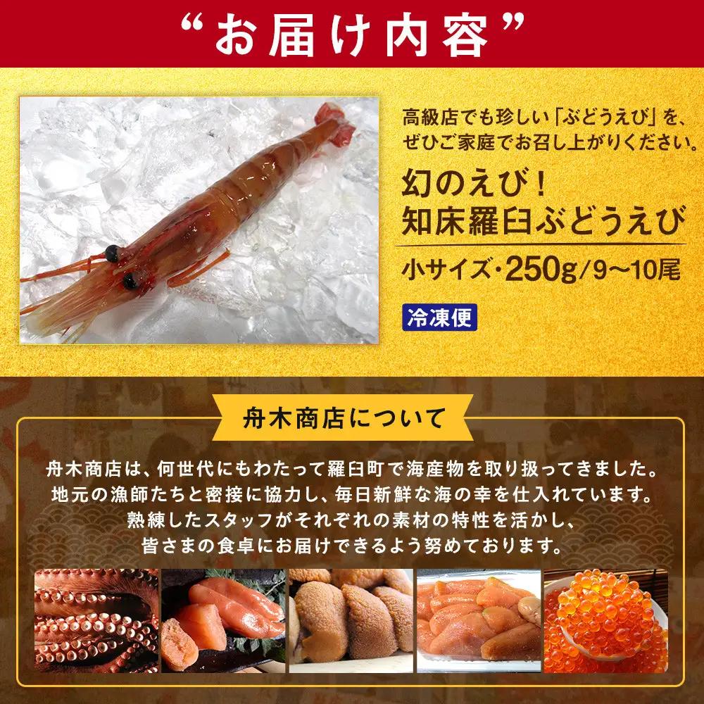 羅臼産 幻のぶどうえび（小・250g / 9～10尾前後） 知床 ブドウエビ 北海道