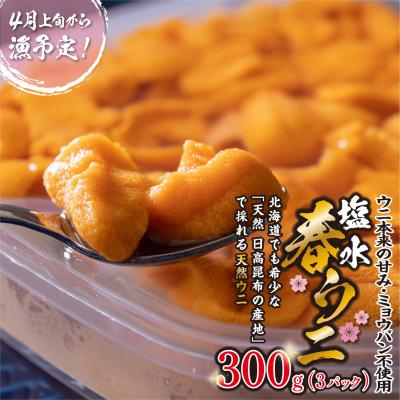 ふるさと納税 新ひだか町 <4月30日までの受付>うに 北海道 300g(100g×3パック)