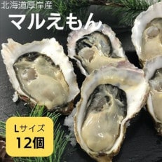 北海道厚岸町産 牡蠣 生食用 殻付カキ 「マルえもん」Lサイズ12個入り