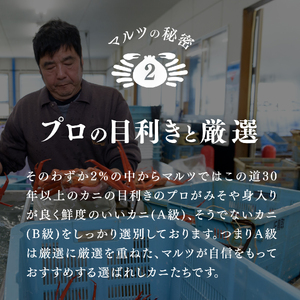 【北海道・沖縄・離島配送不可】蟹屋の釜茹で紅ずわい蟹２杯セット(大) 500～600g×2枚 ベニズワイガニ 紅ずわいがに カニ かに 境港 マルツ ボイルズワイガニ