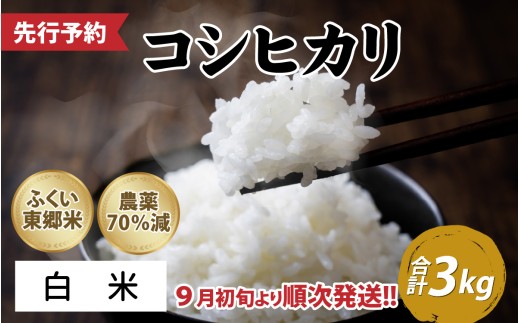 【先行予約】令和8年産 新米 ふくい東郷米 特別栽培米　農薬70％減コシヒカリ 3kg「2026年9月初旬より順次発送」【白米】[A-020018_01] / 3キロ コシヒカリ こしひかり 米 お米 こめ コメ 白米 ご飯 真空 袋 国産 送料無料 白米 精米 福井 令和8年 令和八年産