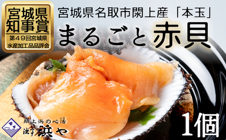 【閖上赤貝】まるごと赤貝　１個入り