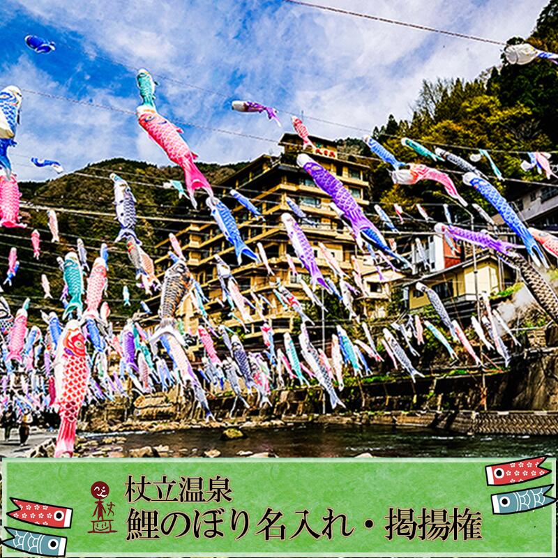 【ふるさと納税】先行予約 令和8年度 受付開始 熊本 阿蘇 杖立温泉 鯉のぼり祭 鯉のぼり 名入れ お子様 お孫様 端午の節句 特別な贈り物 年に一度 期間限定 イベント 映えスポット 送料無料