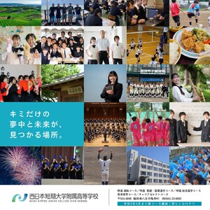 国産百花蜂蜜1kg（500gとんがり容器×2本）【ふるさと愛プロジェクト】 ハチミツ 非加熱 純粋はちみつ ハニー 福岡県 八女市 保存食 防災グッズ 非常食 ボトル