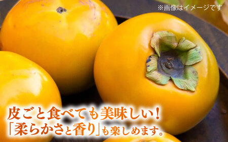 【先行予約】太秋柿 約3kg 柿 カキ フルーツ 果物 秋 【日本フルーツ株式会社】 [ZFJ020]