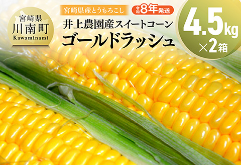 【令和8年発送】宮崎県産とうもろこし　井上農園産スイートコーン(ゴールドラッシュ)4.5kg×2 【 トウモロコシ スィートコーン 2026年発送 先行予約 数量限定 期間限定 野菜 】 [C03902]