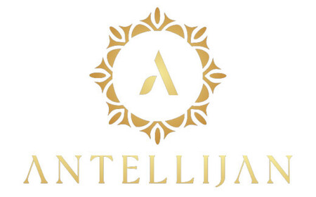 ネイルチップ　ロング【金木淡花】Mサイズ　Antellijan大宮ネイルサロンのハンドメイド　L5-M【11100-2172】