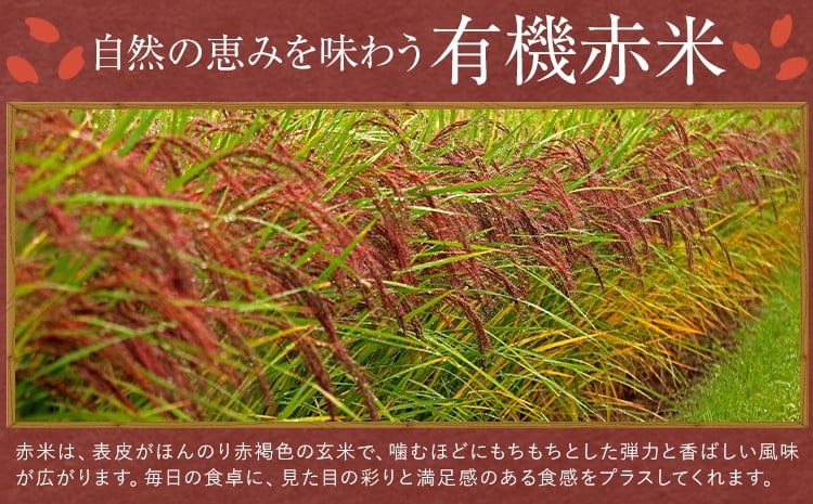 七城物語 有機赤米  玄米 合計900g(180g×5パック) 赤米