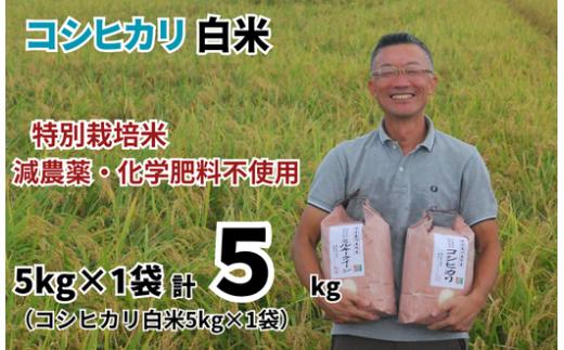 【コシヒカリ 白米　5kg　松原グリーンファーム】 特別栽培米 コシヒカリ 白米5kg （5kg×1袋）  令和8年産 2026年産 小分け 単一米  減農薬 化学肥料不使用 埼玉県認証 埼玉県 川島町