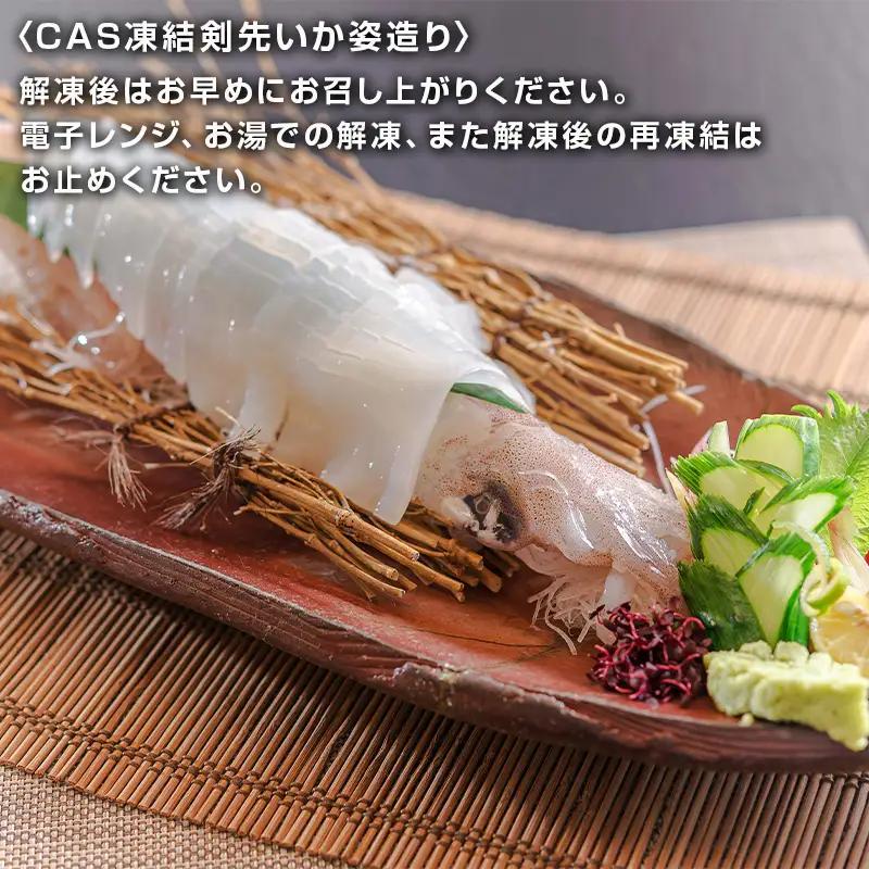 松浦漬小箱(180g×2箱)・唐津バーグ(140g×2個)・いか姿造り(S1サイズ×1杯)の詰合せ ハンバーグ