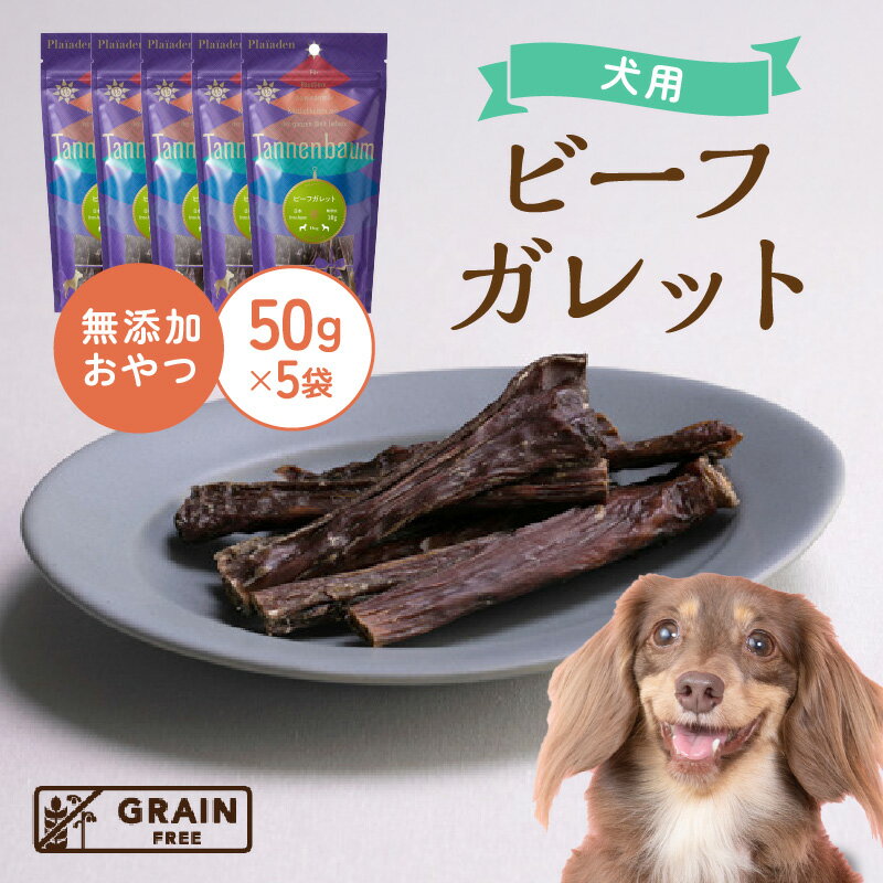 【ふるさと納税】[プレイアーデン タネンバウム] 犬用 無添加おやつ ビーフガレット 50g×5袋 [AT012] ペット フード 犬用 おやつ 無添加 ペットフード ドッグフード 愛知 お肉を使用したおやつ 送料無料