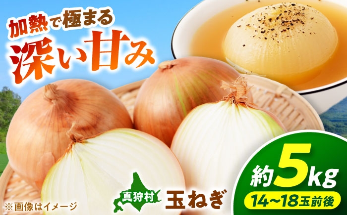 玉ねぎ 5kg | 野菜 玉ネギ たまねぎ やさい 北海道 産地直送 | 道の駅 真狩フラワーセンター [BPAM079]