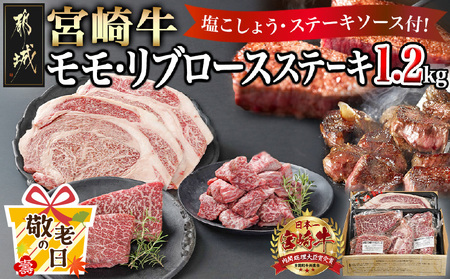 【敬老の日】宮崎牛モモ・リブロースステーキ1.2kgセット≪9月11日～15日お届け≫_AD-2510-KG_(都城市) ステーキ食べ比べ 都城産 宮崎牛 モモ 100g サイコロステーキ 200g 