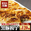 【ふるさと納税】黒豚餃子セット(12個入×10パック) 鹿児島 国産 九州産 自家農場 黒豚 黒ぶた 豚肉 冷凍 餃子 ギョーザ ぎょうざ おかず 惣菜【和田養豚】