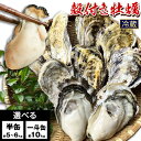 【ふるさと納税】選べる 牡蠣 殻付き牡蠣 加熱用 半缶 ( 約5kg ~ 6kg ) または 一斗缶( 約10kg ) 《2月上旬-3月末頃出荷》備前海産 有限会社 かき カキ 海産物