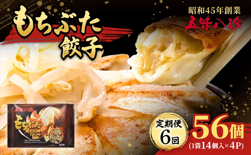 
            【定期便6回】 もちぶた餃子56個（1袋14個入×4パック） 五味八珍 餃子 ぎょうざ ギョウザ 国産 ブランド豚 もち豚 浜松餃子 冷凍餃子 冷凍 さっぱり 甘み 惣菜 中華 点心 静岡県 浜松市 [№5360-0836]
          