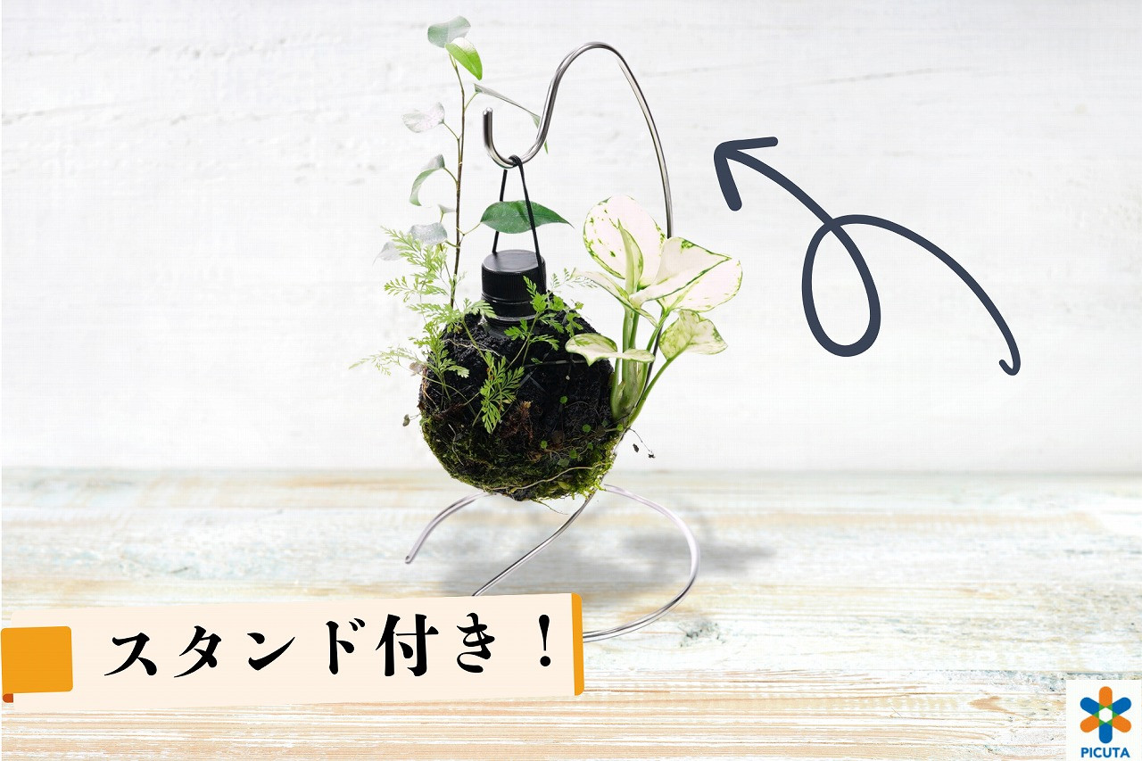ボトルプランター