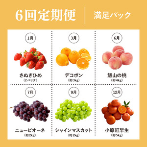 【定期便6回】 満足パック フルーツ 果物 定期便