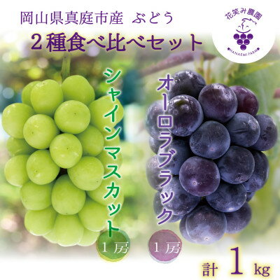 【ふるさと納税】岡山　花笑み農園の『オーロラブラック&シャインマスカット』1kg　AS-1　【9月中旬～順次発送】【配送不可地域：離島】【1596644】