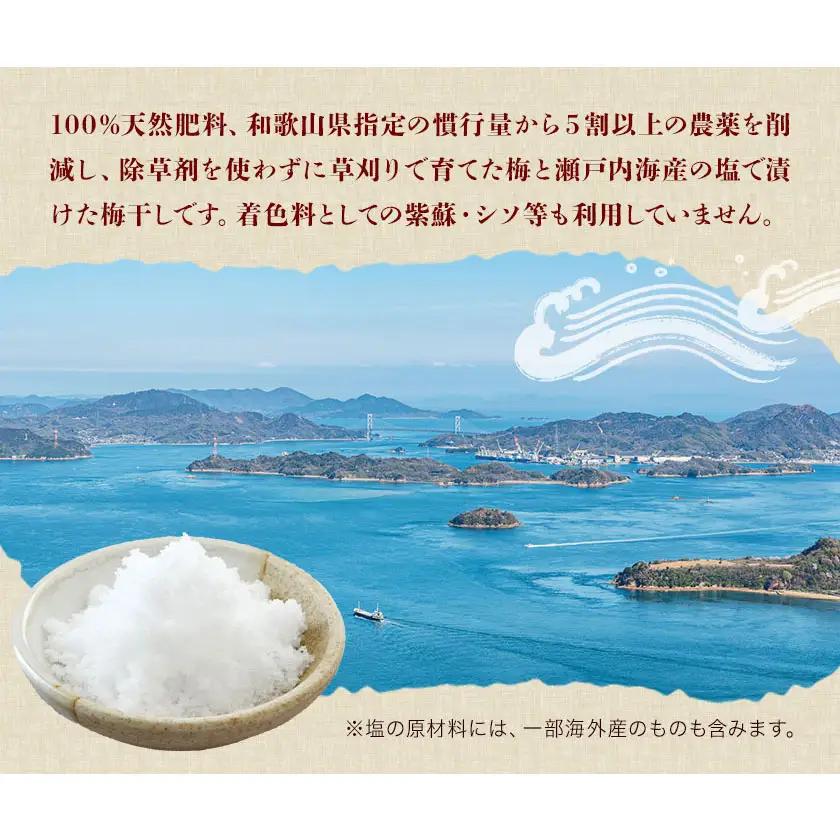 3年熟成 規格外品 昔ながらの 梅干し 約800g 農業法人 株式会社紀州梅香