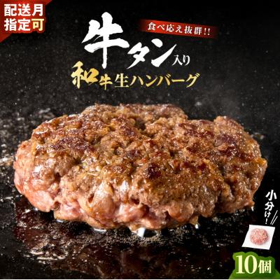 ふるさと納税 川崎市 和牛×牛タン 生ハンバーグ 合計1kg(10個×100g)【順次発送】