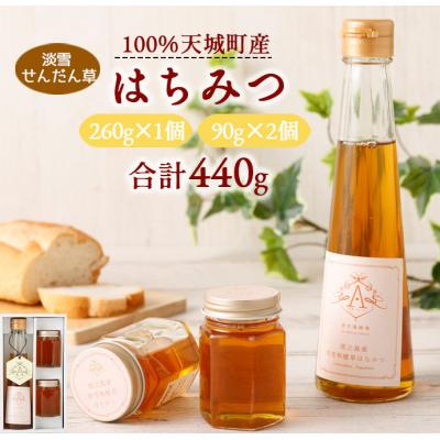 ふるさと納税 天城町 天城町産 徳之島 はちみつ 泡雪栴檀草 合計440g(260g×1個・90g×2個)ハチミツ