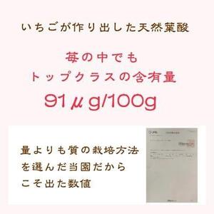 いちご 雪国完熟いちご越後姫 約170g×2P 苺 イチゴ フルーツ 完熟 越後 新潟