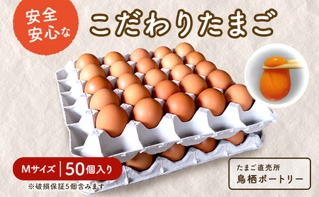 たまご Mサイズ 鶏卵 たまご【50個入】【破損保証5個含む】