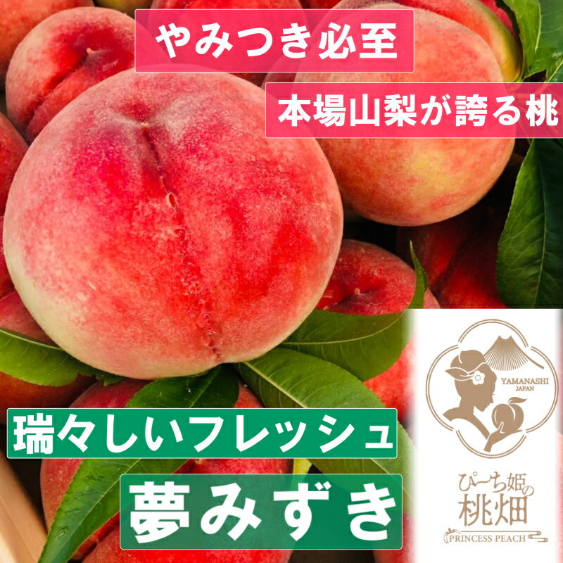 【ふるさと納税】 桃 3～4玉 約1kg 果物 もも フルーツ 夢みずき ブランド 人気品種指定 2025年発送 甲州市産 果実 贅沢 冷蔵 厳選 甘い デザート 期間限定 数量限定 6月 7月 発送 贈り物 ギフト 家庭用 フルーツ王国 山梨 （PMK） 【B17-110】