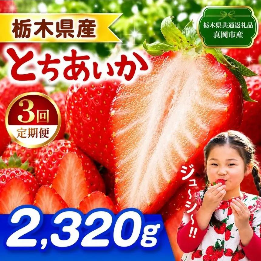 【栃木県共通返礼品】【先行予約】【定期3回】とちあいか 2320g | 栃木県 那珂川町 