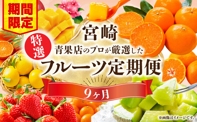 
                  【数量・期間限定】特選！旬のフルーツ9ヶ月定期便vol.1 定期便 フルーツ 果物 青果 青果物 デザート スイーツ いちご 金柑たまたま せとか 露地日向夏 完熟マンゴー グリーンメロン 温室みかん 温州みかん 津之輝 金柑 柑橘 柑橘類 日向夏 マンゴー メロン みかん フルーツ定期便 果物定期便 旬の果物 旬のフルーツ 人気 おすすめ 宮崎県 宮崎市_M348-T002
                