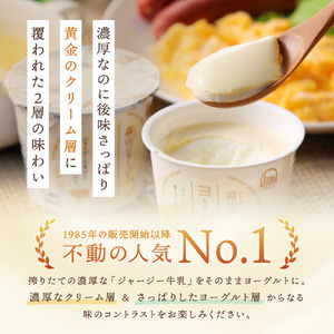 【定番人気】 蒜山ジャージーヨーグルト 20個 冷蔵 ご当地ヨーグルトグランプリ金賞 ヨーグルト 人気ヨーグルト ご当地ヨーグルト 岡山県 真庭市 蒜山 ジャージー牛 【HS-011H】