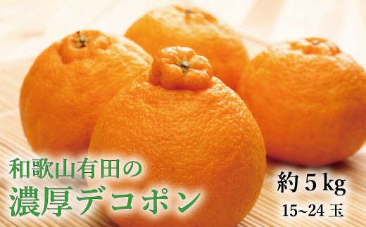【大人気】和歌山有田の濃厚デコポン　15～24玉(約5kg)【ard005C】