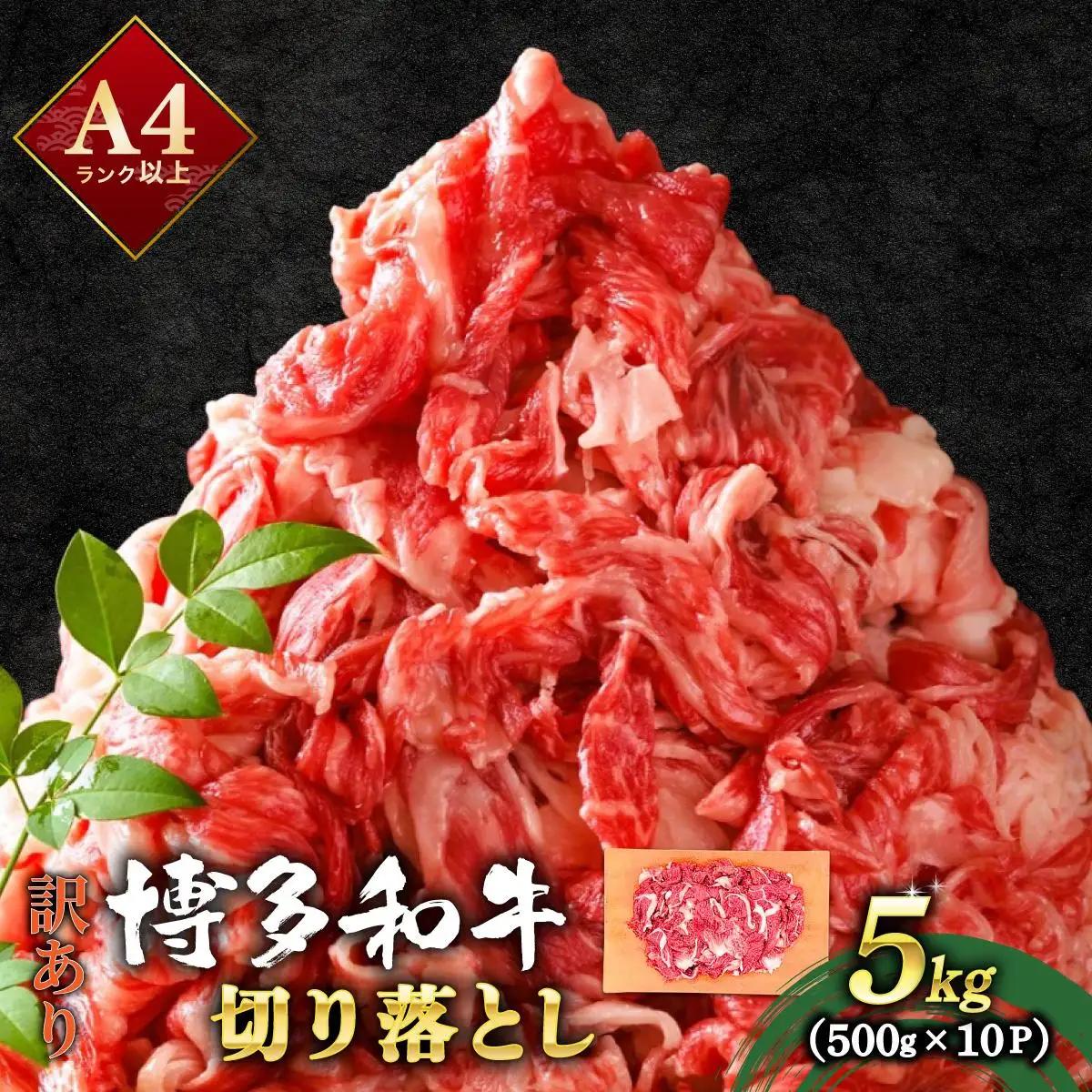 【訳あり】博多和牛 切り落とし 5kg（500g×10）