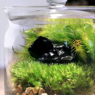 ふるさと納税 邑楽町 苔テラリウム 鉱石 オブシディアン(黒曜石)ガラスポットS 説明書付|09_chm-bt0101 |  | 01