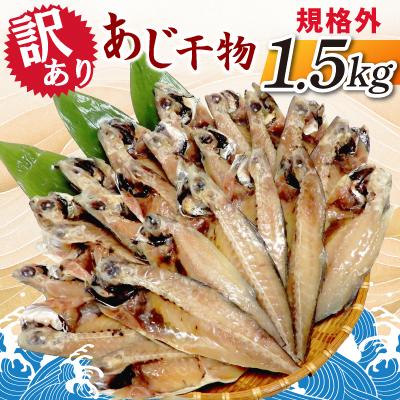 ふるさと納税 神栖市 【訳あり】規格外　あじ干物　1.5kg