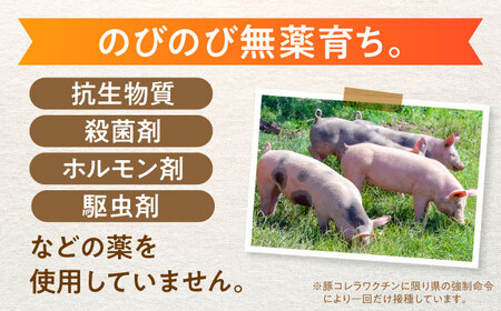 【3回定期便】あんしん豚 豚肉大満喫コース 計2.76kg 白川町 / 藤井ファーム[AWAF072]