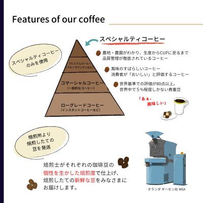 ふるさと納税 豊川市 【毎月定期便】毎月違うコーヒー豆をお届け スペシャルティコーヒー 豆 300g全12回 |  | 01