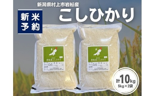【新米受付・令和8年産米】新潟県村上市岩船産 コシヒカリ10kg（5kg×2袋）1099014N