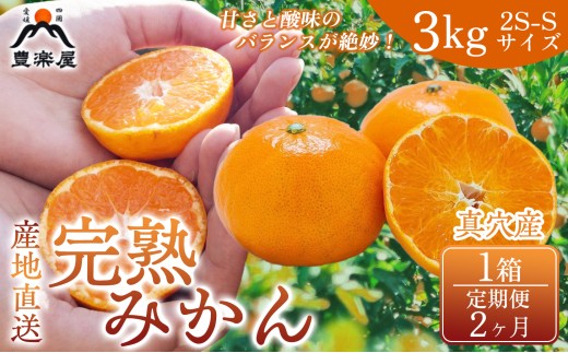 【定期便2ヶ月】【みかん本来の甘みを農家直送でお届け！】果汁たっぷり真穴産みかん 完熟みかん 3kg サイズ2S~S 1箱　全2回【98-23】ふるさと納税 みかん ミカン フルーツ くだもの 果物 産地直送 愛媛県 八幡浜市 送料無料 YWTBU020