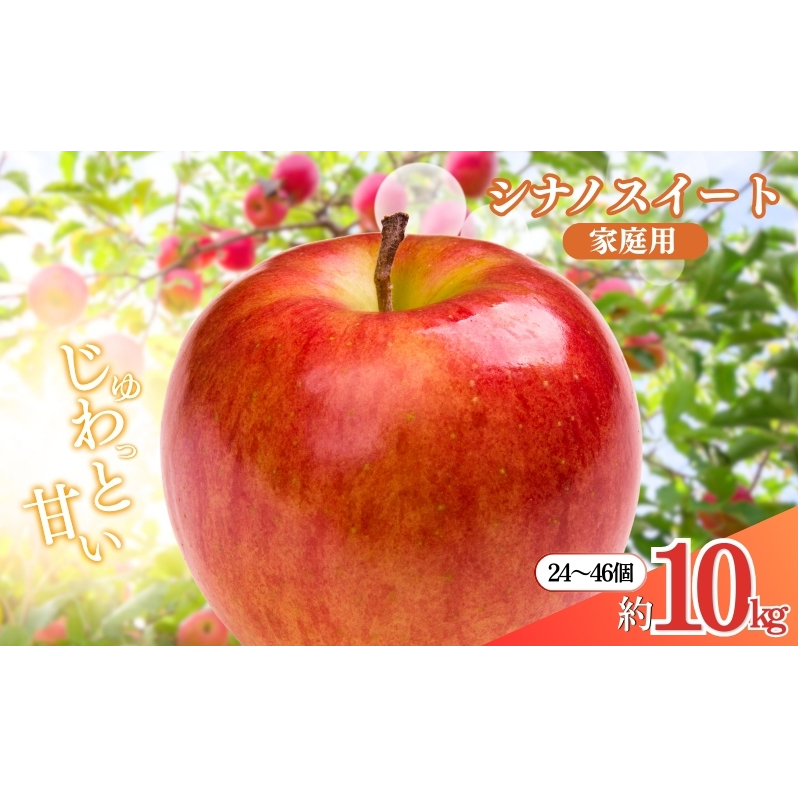 2026年産先行予約 長野市産シナノスイート家庭用 約10kg オンライン決済限定 果物 フルーツ デザート 食後 おやつ 長野県産 信州 甘い 交配品種 酸味が少ない りんご 