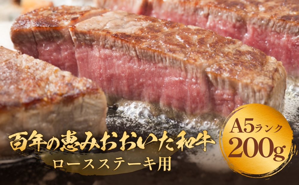 「百年の恵み おおいた和牛 」A5 ロースステーキ用 200g×１枚 おおいた和牛 ロースステーキ A5等級 黒毛和牛 大分県産 牛肉 高級肉 霜降り 和牛ステーキ 風味豊か 脂質 種雄牛 血統 高評価 冷凍
