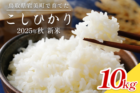 【2025年産 先行予約】岩美のコシヒカリ 10kg 玄米｜鳥取 岩美 お米【31016】