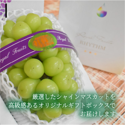 【厳選品】大粒シャインマスカット1房 700g～ (岡山県産) 果樹園厳選のシャインをお届け!【配送不可地域：離島】